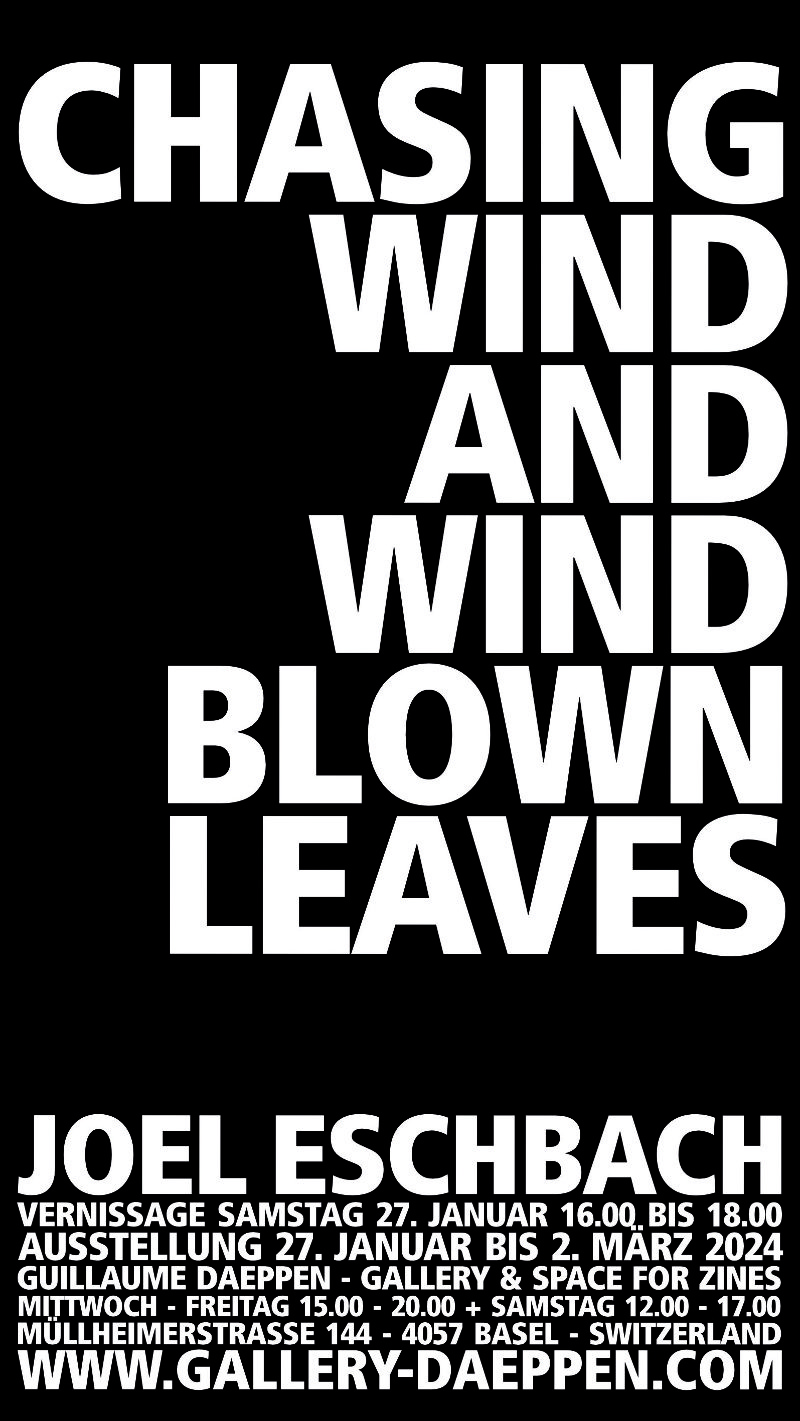 CHASING WIND AND WINDBLOWN LEAVES
